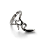 The Chrome Ring Set